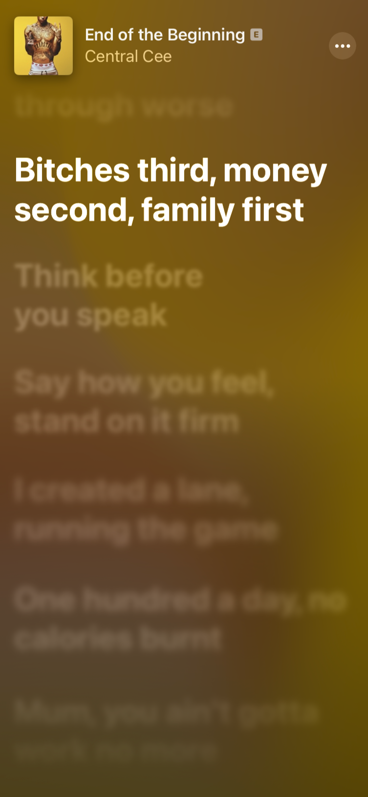 SUDADERA Central Cee- Perras 3º Dinero 2º Familia 1º 🎙️