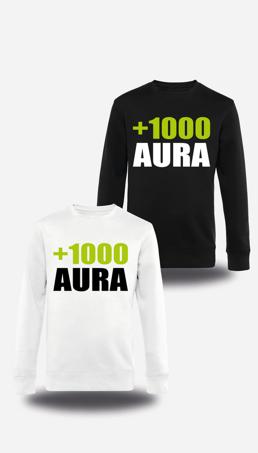 Sweatshirt Mister V + 1000 Aura