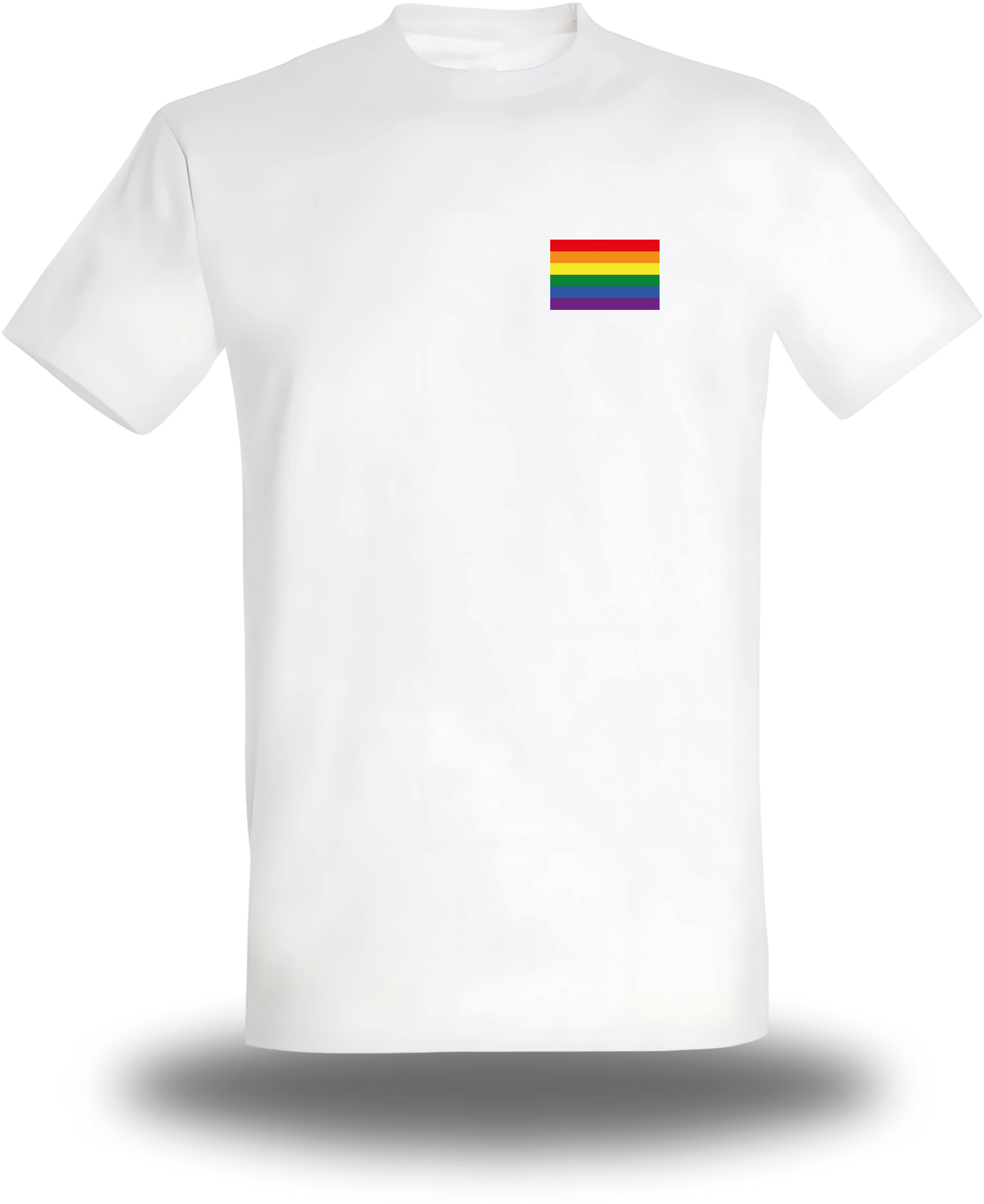 CAMISETA O SUDADERA CON BANDERA LGBT