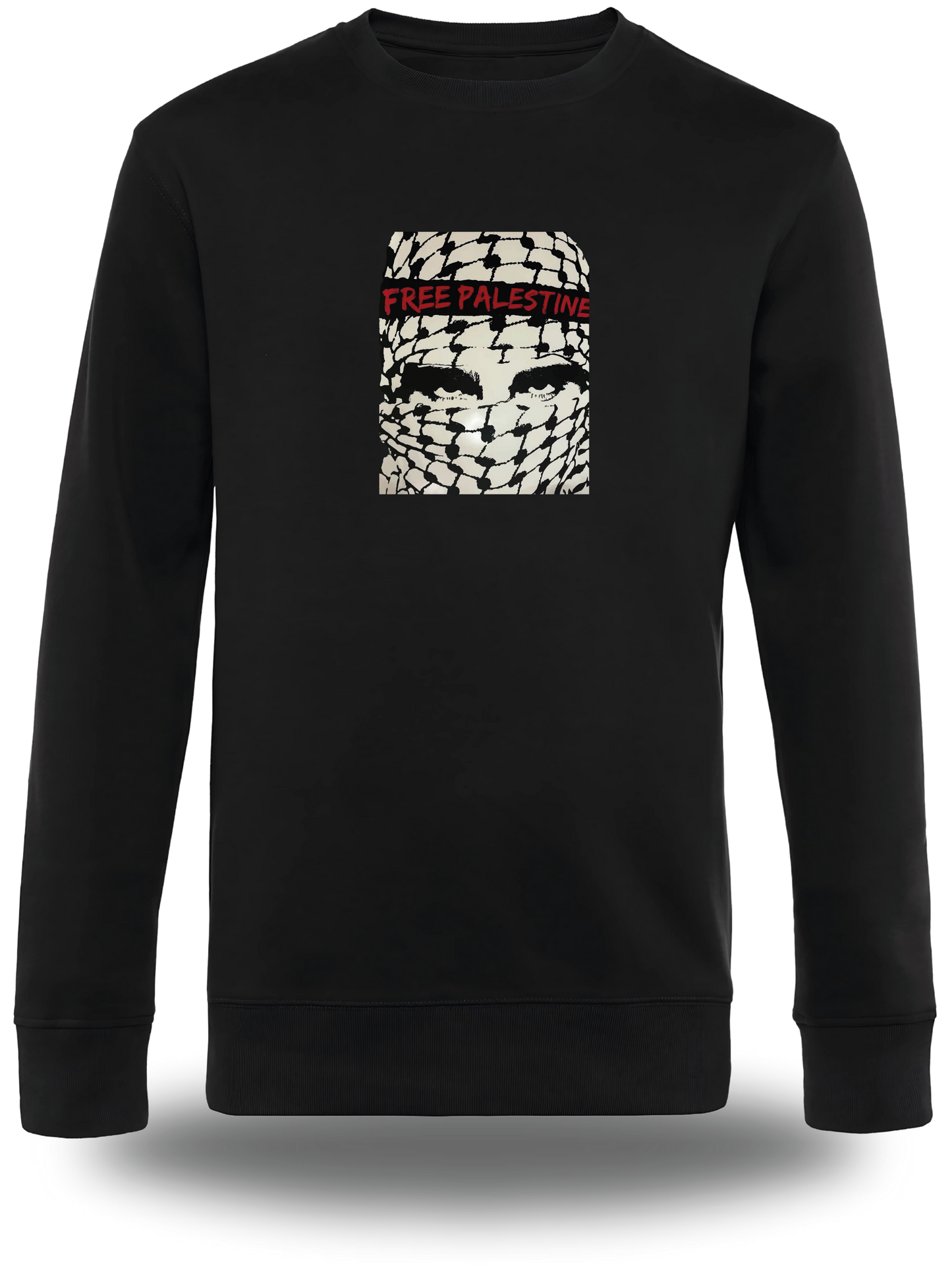 Camiseta de Palestina