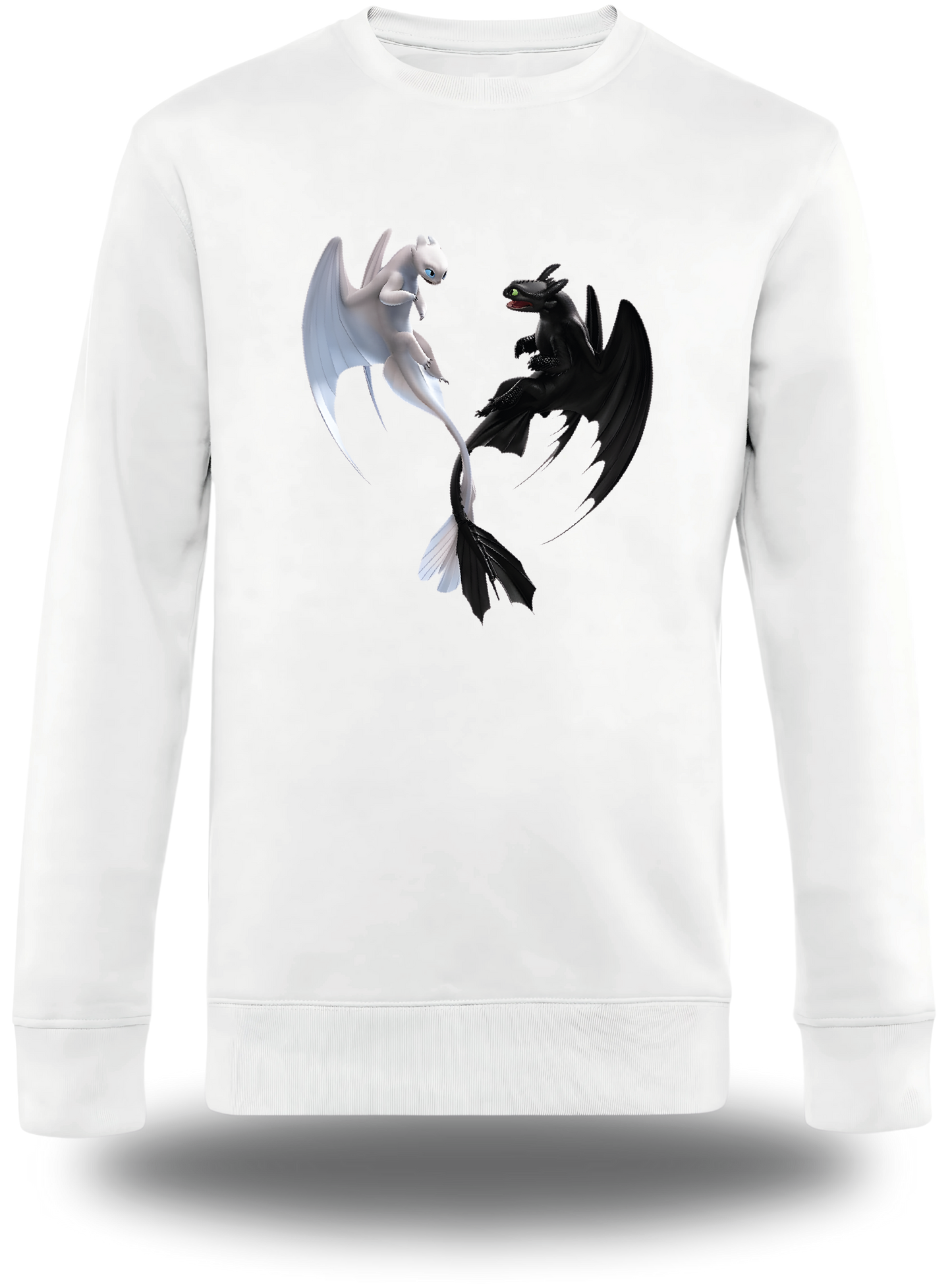 T-Shirt Dragon 3 Krokmou et Furie Éclair