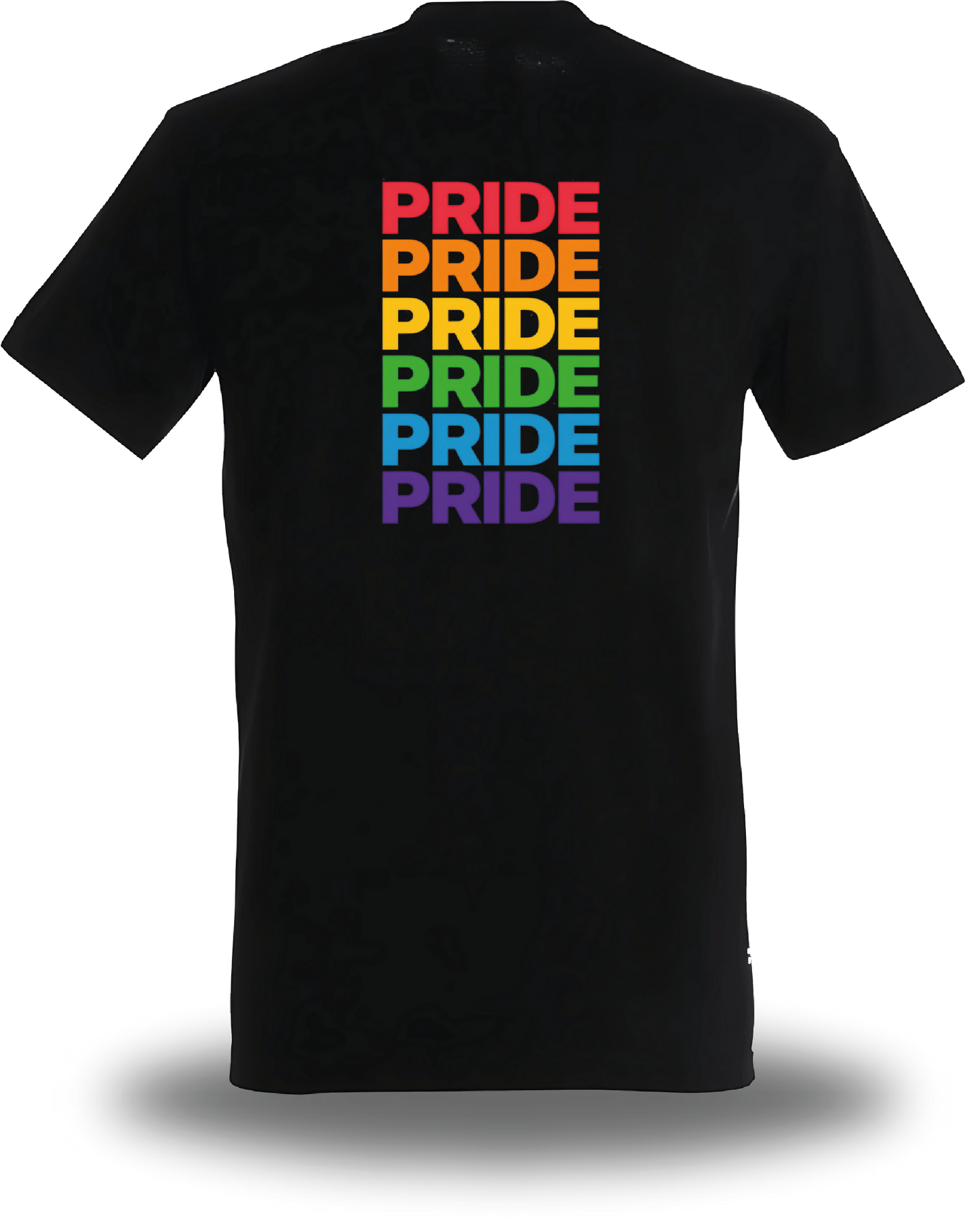 Camiseta Pride LGBT