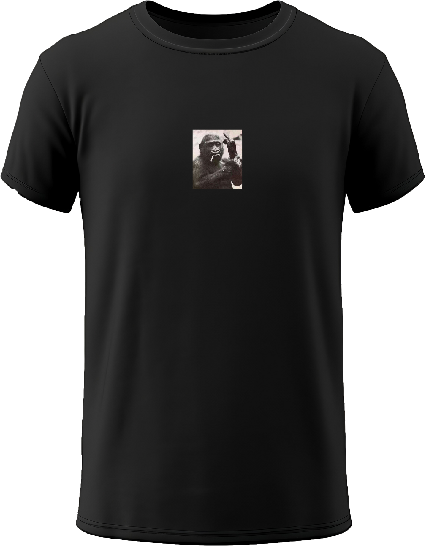 CAMISETA o SUDADERA Mono