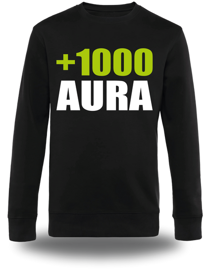 Sweatshirt Mister V + 1000 Aura