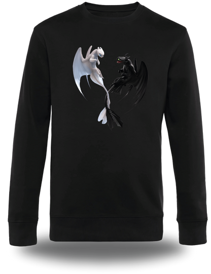 T-Shirt Dragon 3 Krokmou et Furie Éclair