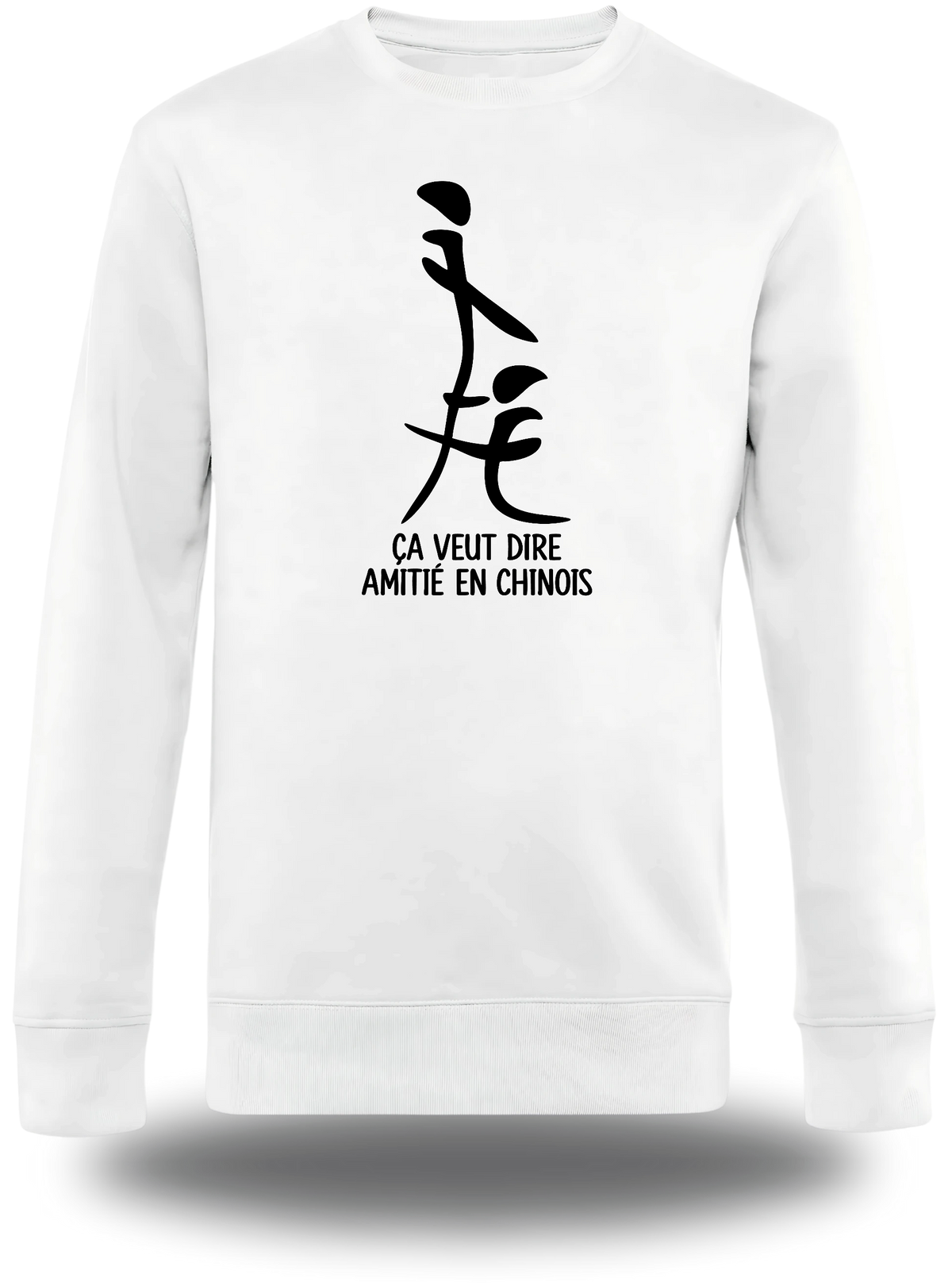 Pull col rond blanc "Ca Veut Dire Amitie En Chinois" vu de face, design humour, humour beauf, sexe, sex