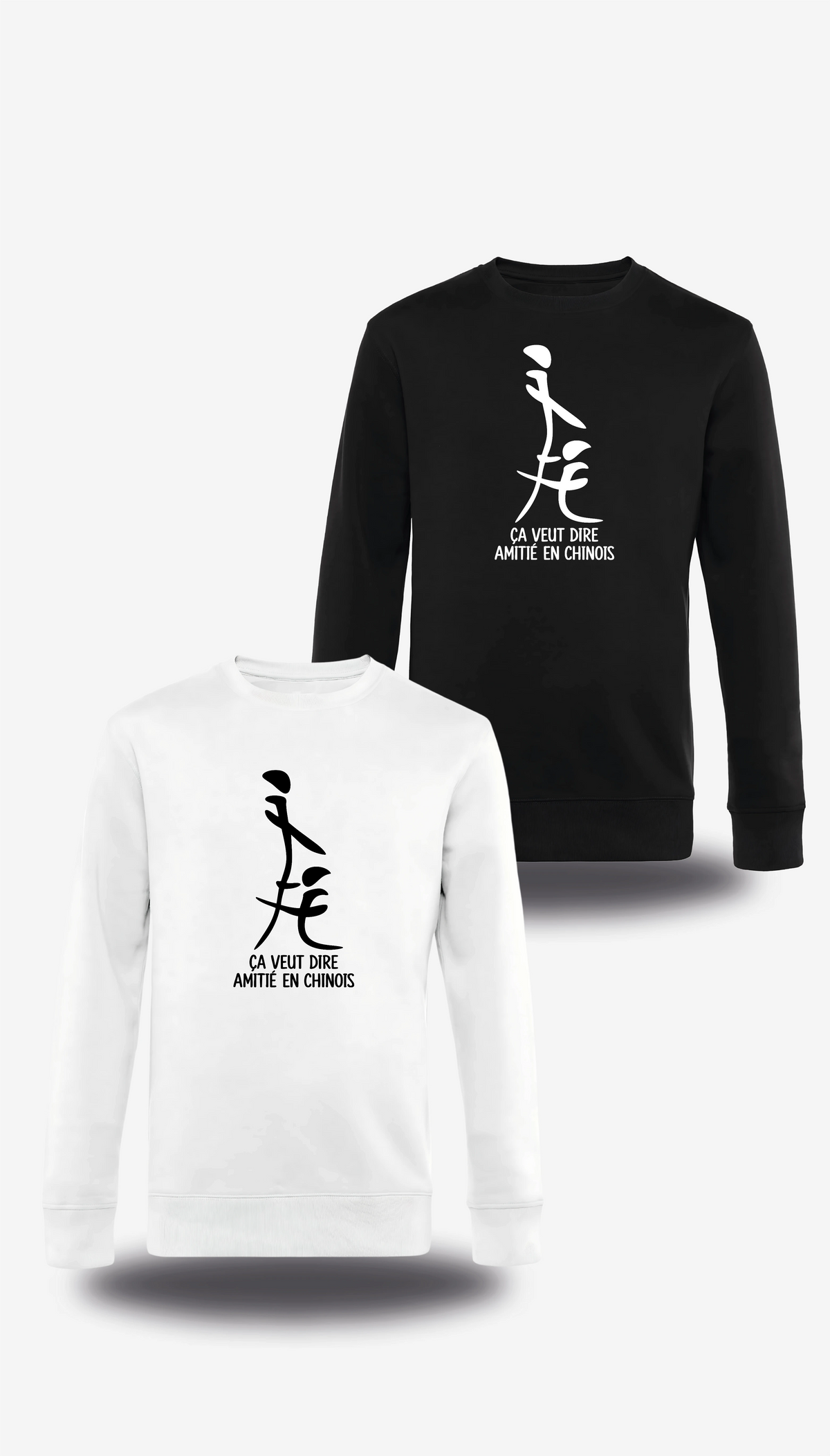 Pull col rond "Ca Veut Dire Amitie En Chinois" en blanc et noir, vus de face, design humour, humour beauf, sexe, sex
