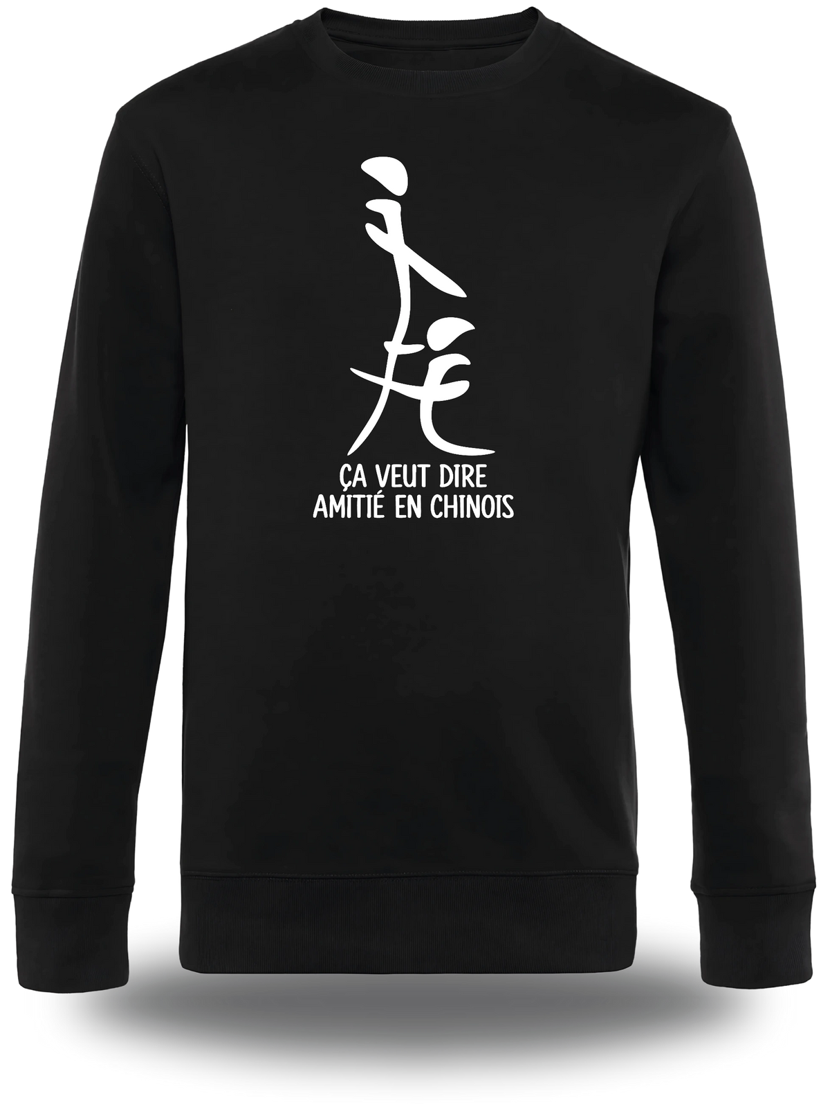 Pull col rond noir "Ca Veut Dire Amitie En Chinois" vu de face, design humour, humour beauf, sexe, sex