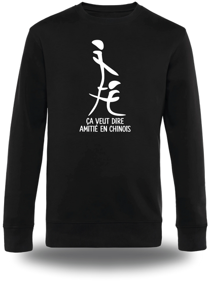 Pull col rond noir "Ca Veut Dire Amitie En Chinois" vu de face, design humour, humour beauf, sexe, sex