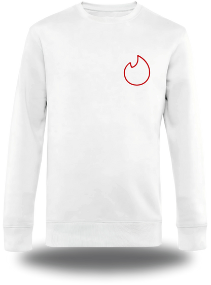 Pull col rond blanc If I Am Flirting With You Please Cooperate vu de face, design humour, humour beauf, humour hot, hot