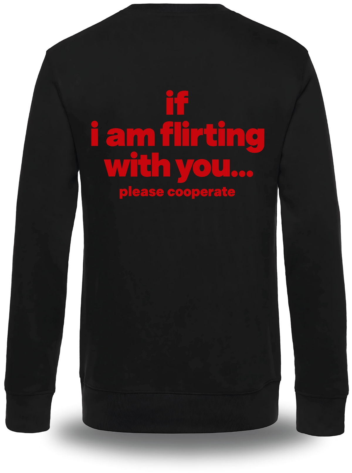 Pull col rond noir If I Am Flirting With You Please Cooperate vu de dos, design humour, humour beauf, humour hot, hot
