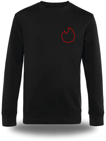 Pull col rond noir If I Am Flirting With You Please Cooperate vu de face, design humour, humour beauf, humour hot, hot