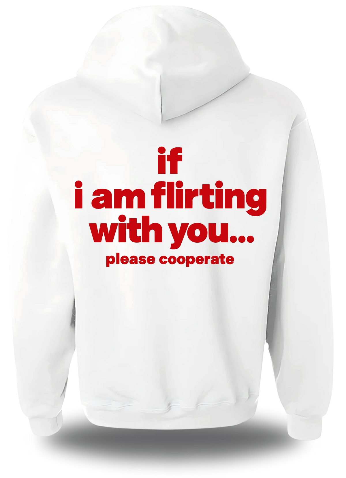 Sweatshirt à capuche blanc If I Am Flirting With You Please Cooperate vu de dos, design humour, humour beauf, humour hot, hot