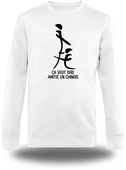 T-shirt manches longues blanc "Ca Veut Dire Amitie En Chinois" vu de face, design humour, humour beauf, sexe, sex
