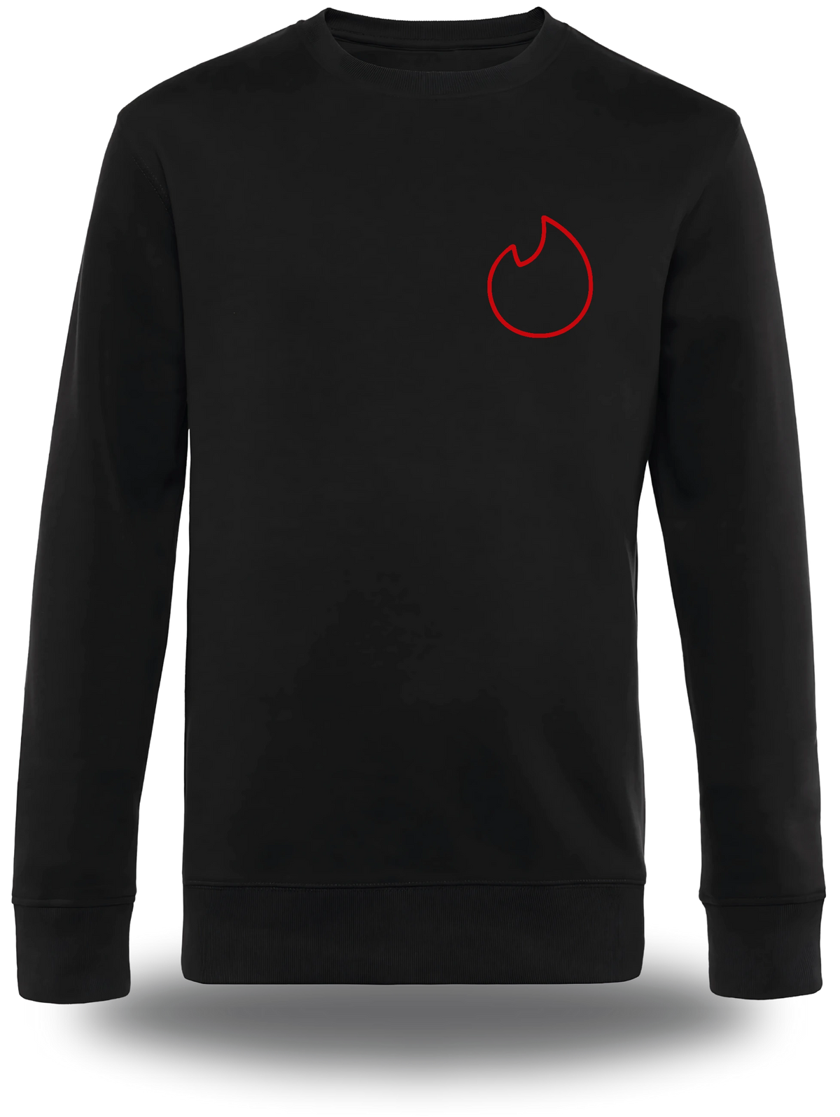 T-shirt manches longues noir If I Am Flirting With You Please Cooperate vu de face, design humour, humour beauf, humour hot